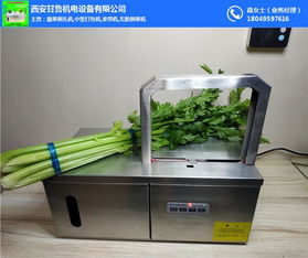 甘魯機電小型蒜苔捆扎機 助力五金交電領域高效農業(yè)作業(yè)